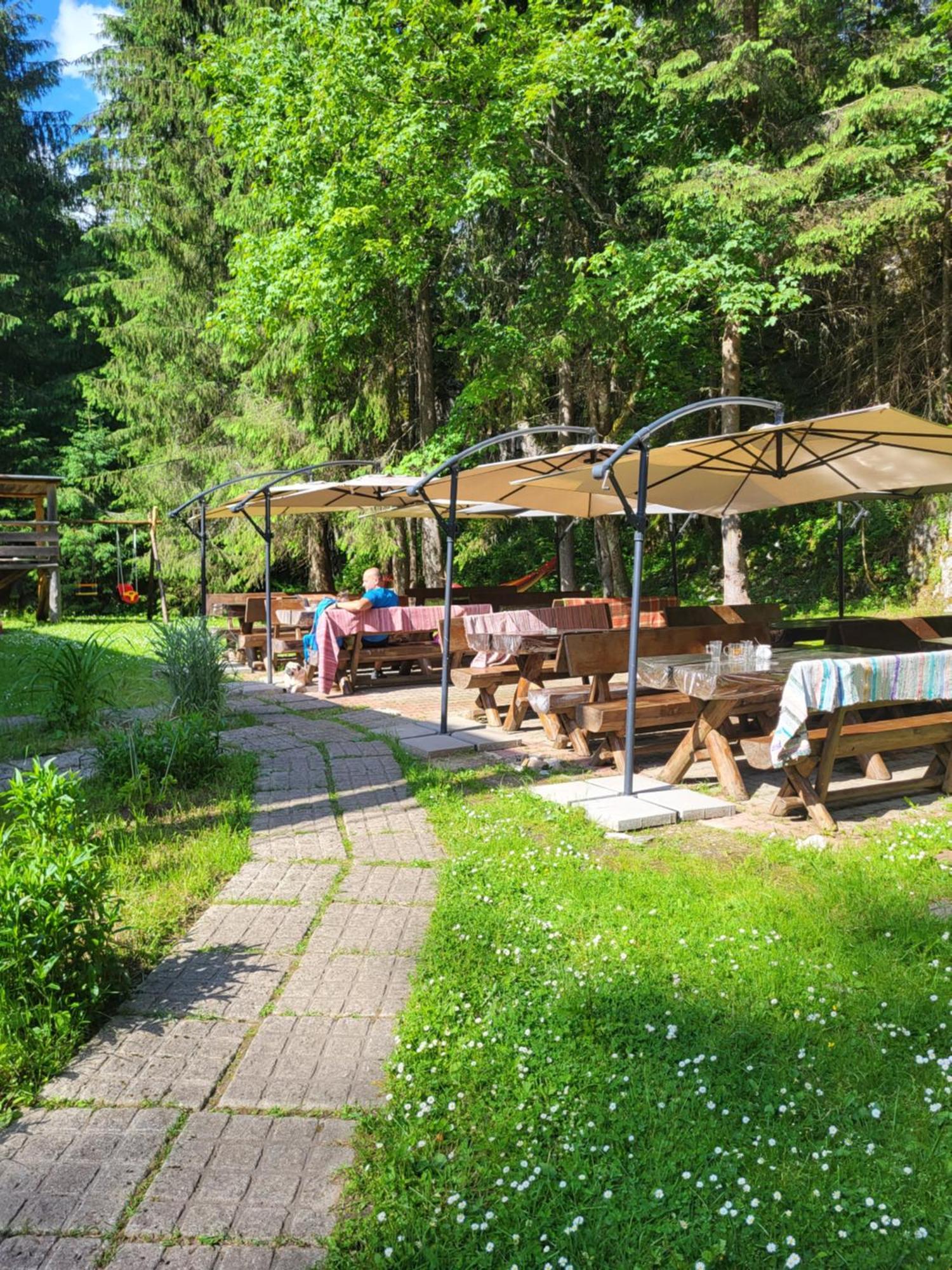 Pension Cabana Cetatile Ponorului Падіс Екстер'єр фото