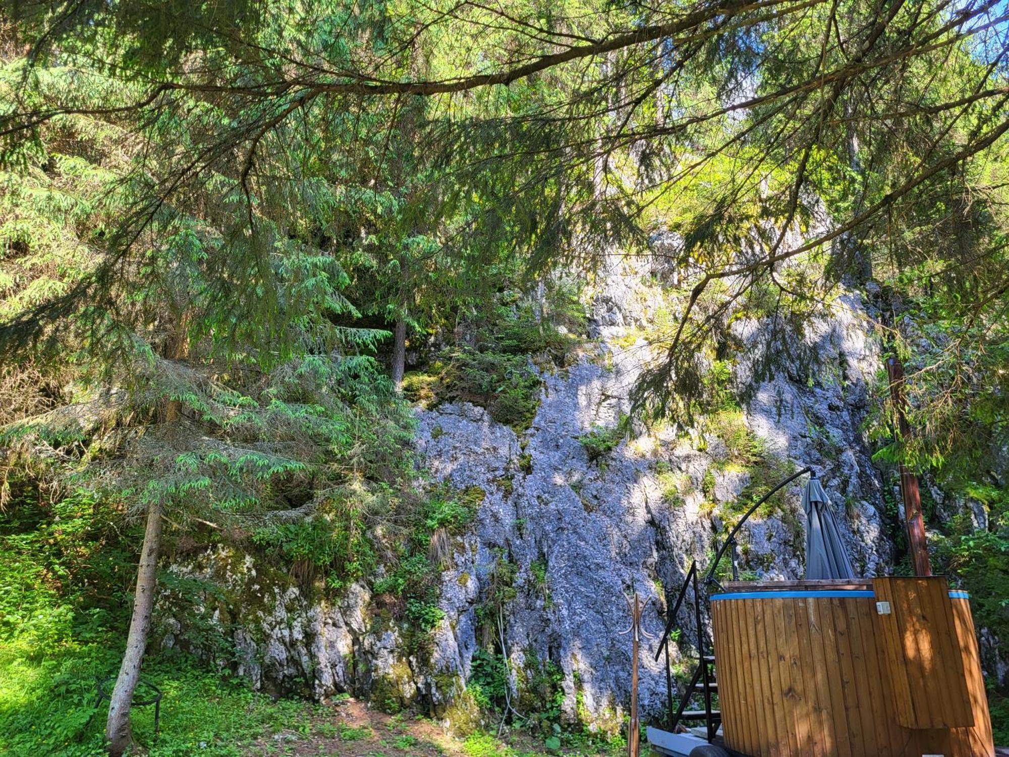 Pension Cabana Cetatile Ponorului Падіс Екстер'єр фото
